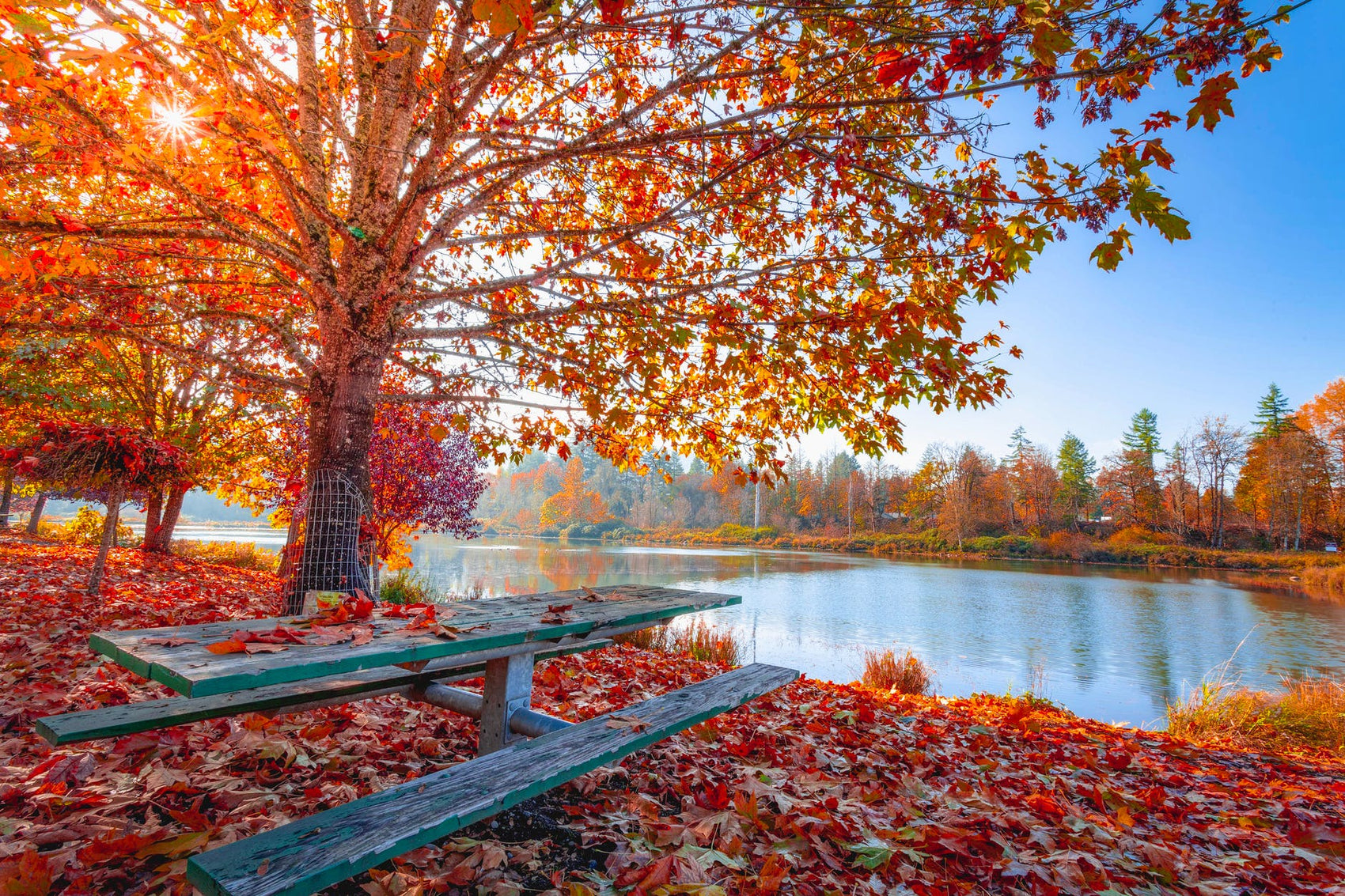How to Relax & Stay Busy at Home this Fall