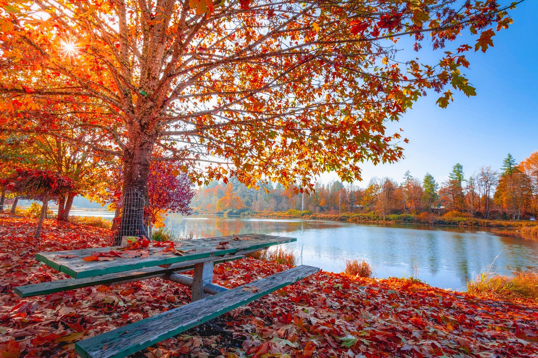 How to Relax & Stay Busy at Home this Fall