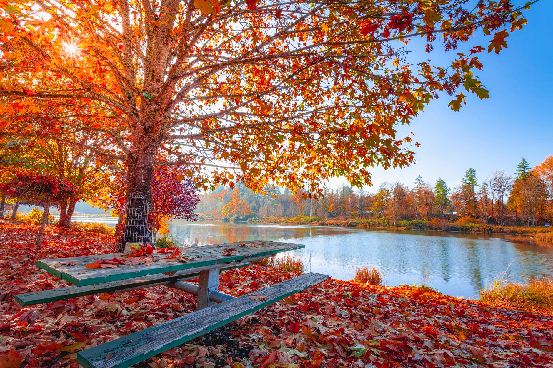 How to Relax & Stay Busy at Home this Fall