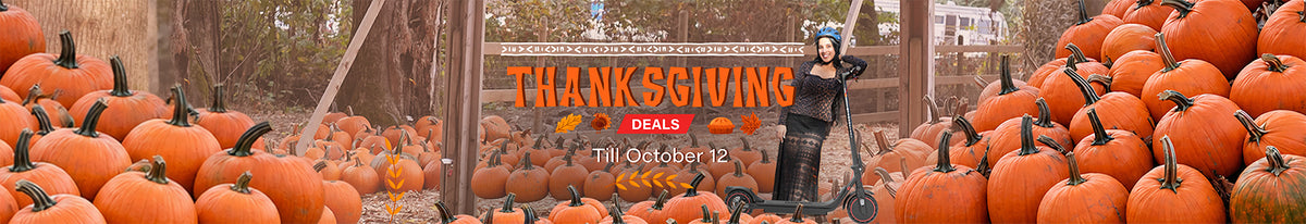 files/Thanksgiving_Banner_Desktop_1920x330_eba6742d-61f8-46ac-8e53-3252c87b8e98.jpg
