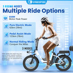 Gyrocopters iCaddy Foldable Electric Bike - 125 km PAS Range