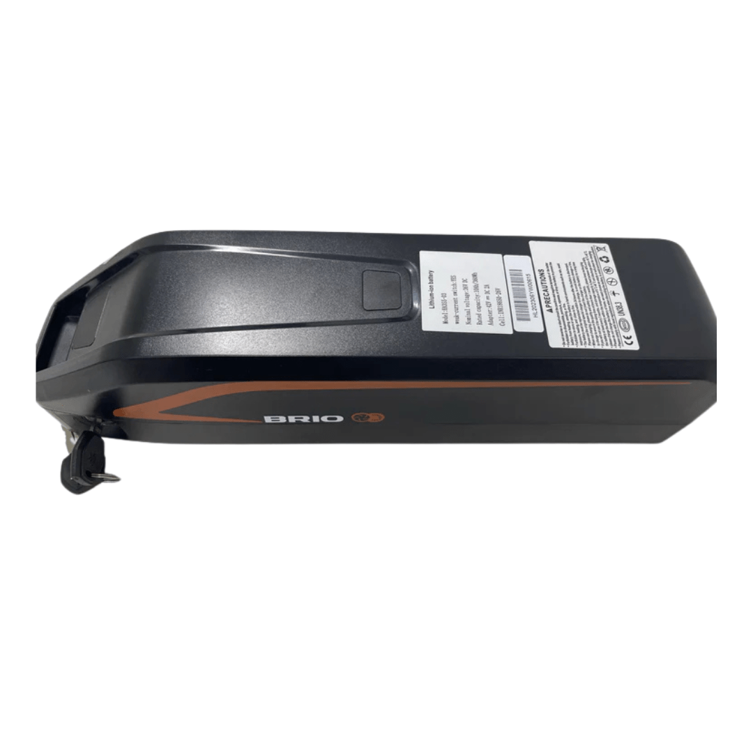 Pièces de rechange pour vélo électrique Brio