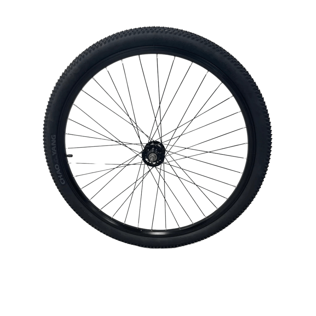 Pièces de rechange pour vélo électrique Brio