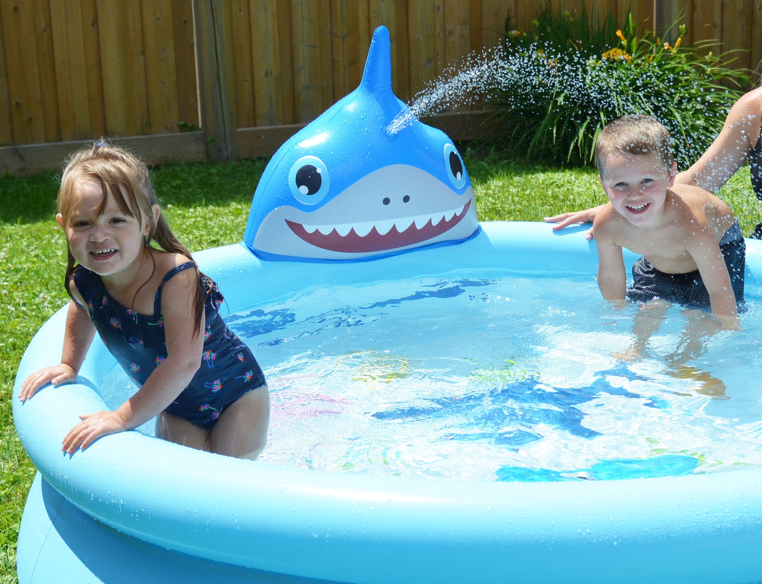 Sunclub Shark 3D Spray Pool