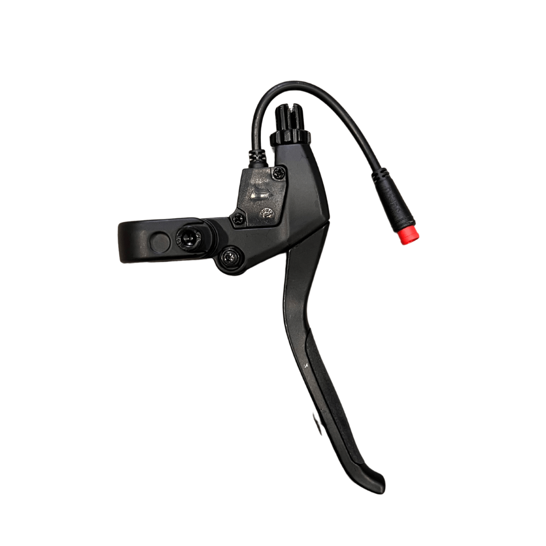 Texte alternatif de l'image